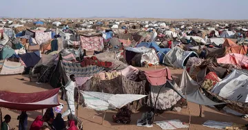U.S. Considers Expanding Darfur Arms Embargo Across All of Sudan as War Continues