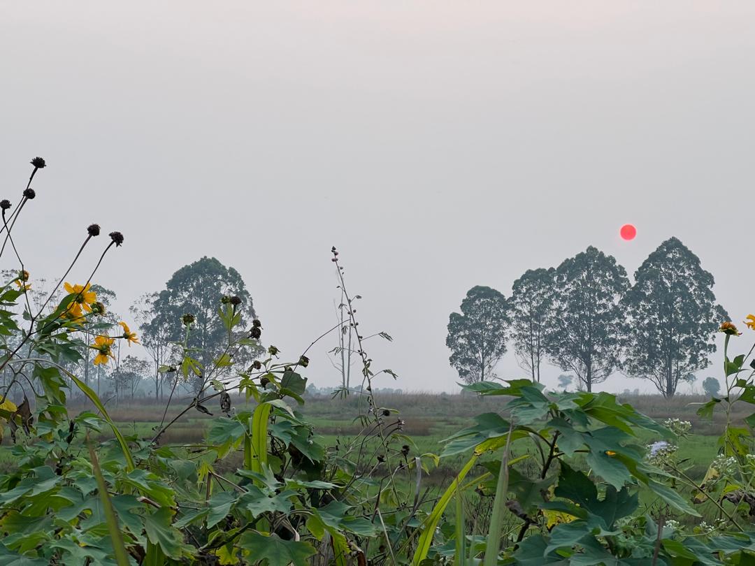 A view of Brazzaville